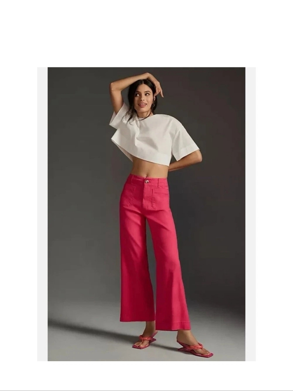 Anthropologie Maeve The Colette Linen Blend Crop Wide-Leg Pants Tall